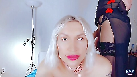 Sexy Tranny Cats Gently Fuck And Suck Each Other